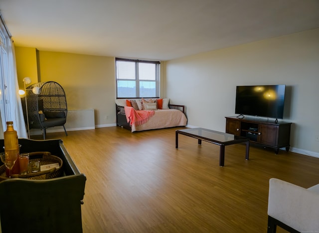 living room with wood-type flooring