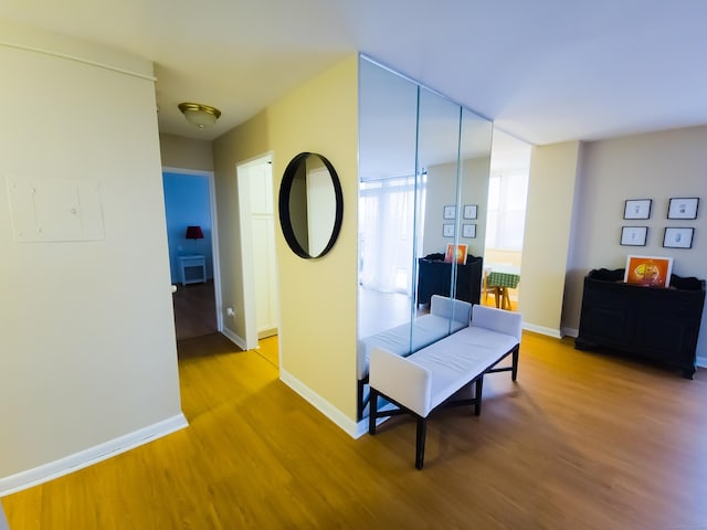 corridor with a wall of windows and light hardwood / wood-style flooring