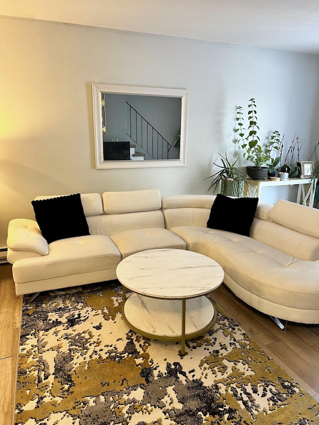 living room featuring wood-type flooring