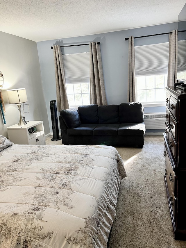 carpeted bedroom with multiple windows and a textured ceiling