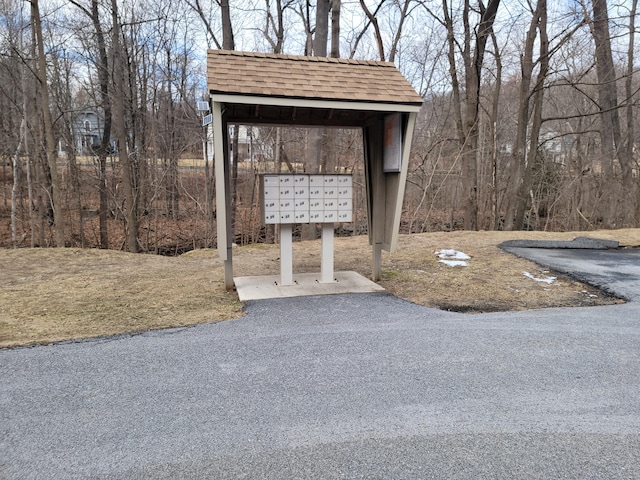 view of home's community with a mail area