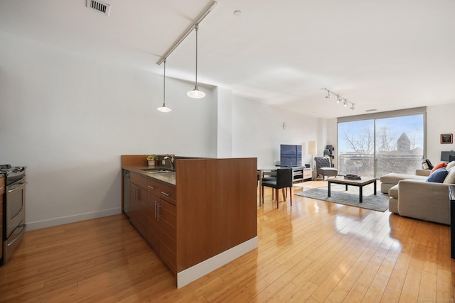 kitchen with sink, decorative light fixtures, light hardwood / wood-style flooring, and appliances with stainless steel finishes