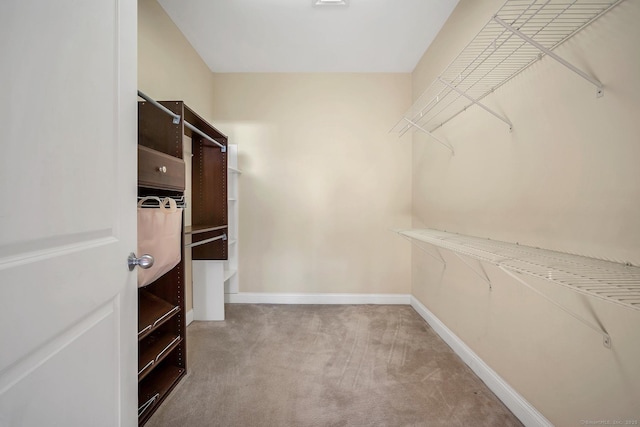 spacious closet with carpet flooring