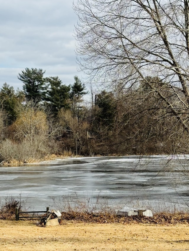 view of water feature