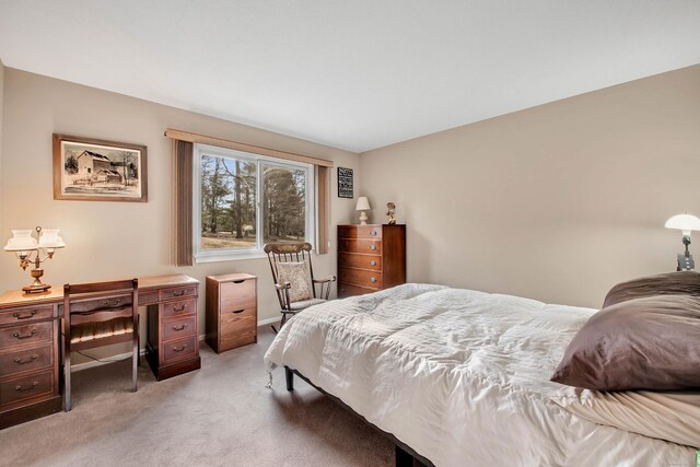 bedroom featuring light colored carpet