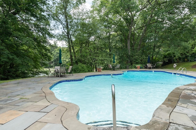 view of swimming pool with a patio