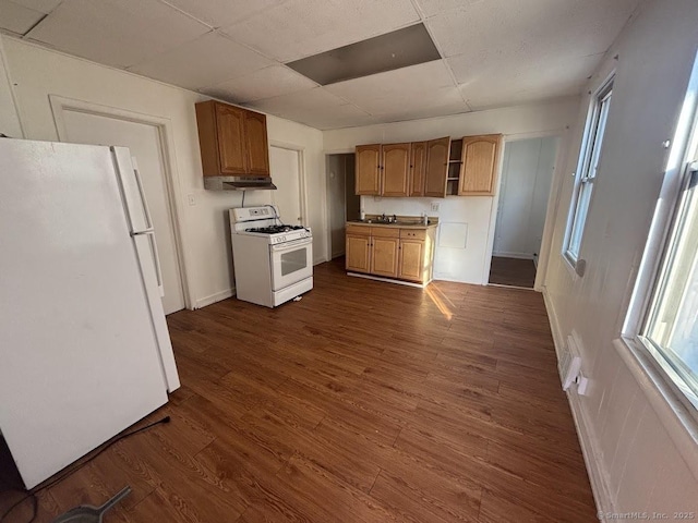 kitchen featuring a paneled ceiling, dark hardwood / wood-style flooring, and white appliances