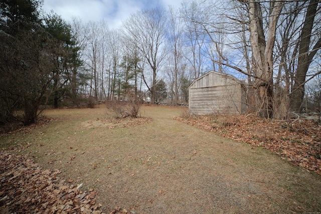 view of yard featuring a shed