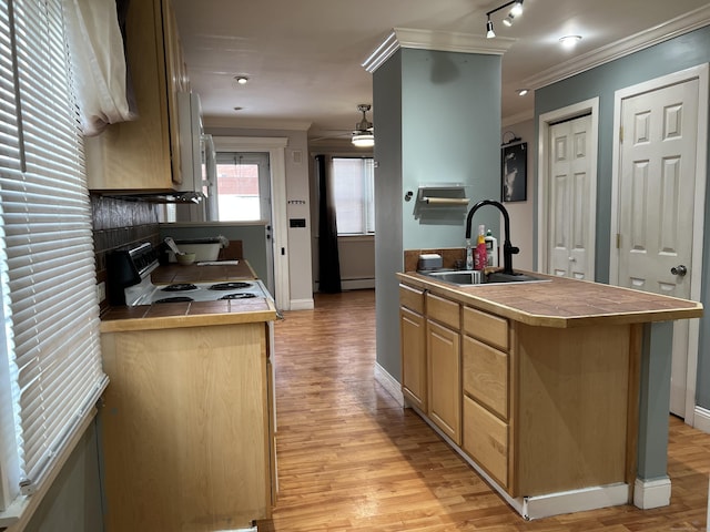 kitchen featuring crown molding, sink, tile counters, and an island with sink