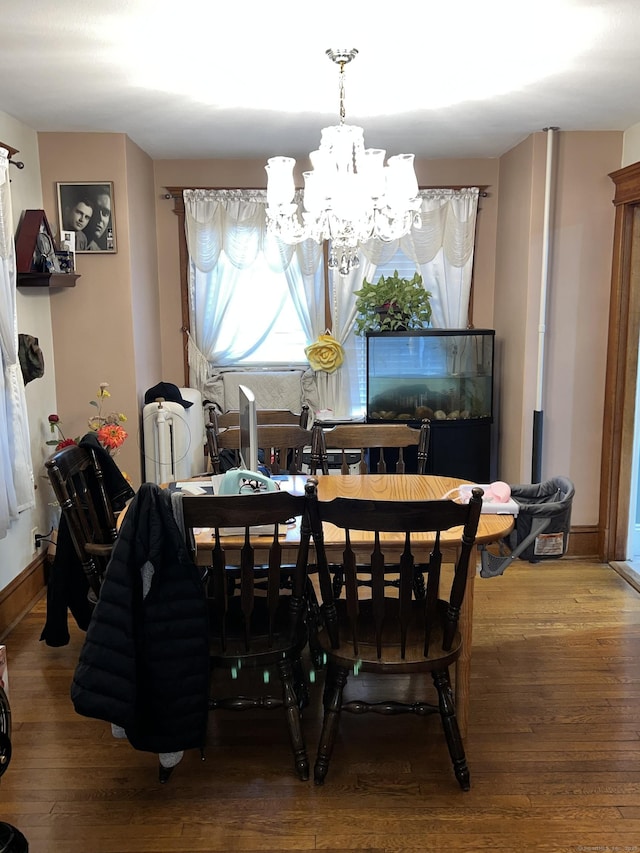 dining room with a notable chandelier and hardwood / wood-style floors