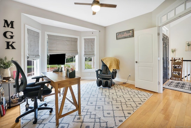 office featuring light hardwood / wood-style flooring and ceiling fan