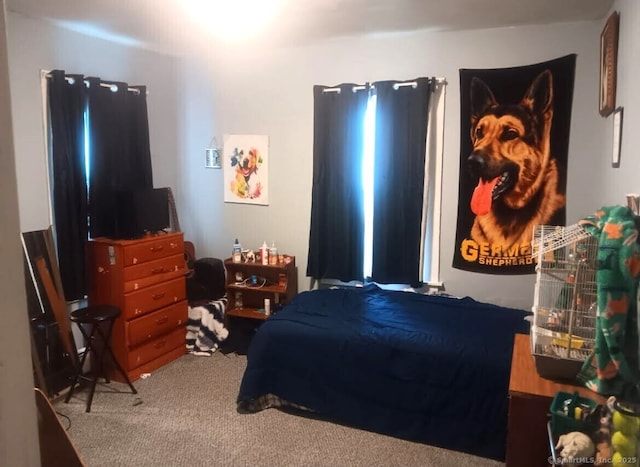 bedroom featuring carpet