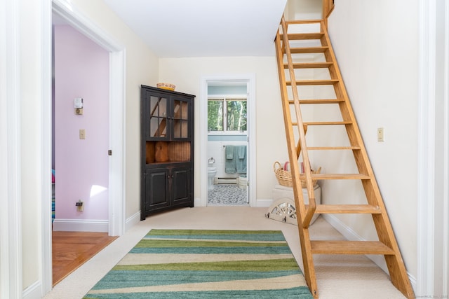 stairway featuring carpet floors