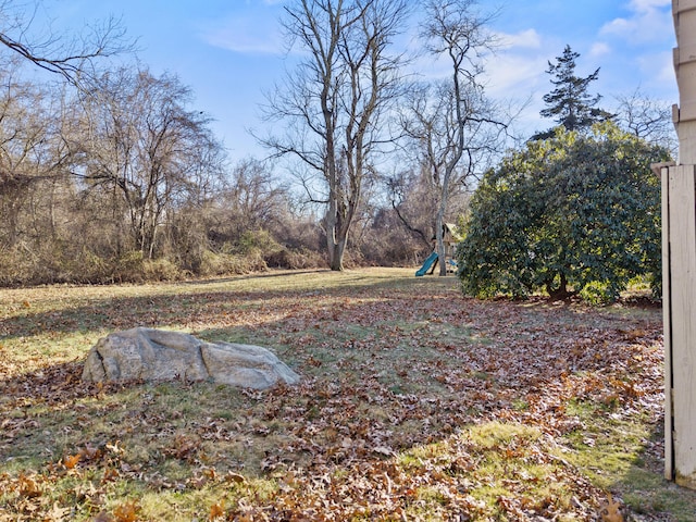 view of yard featuring a playground