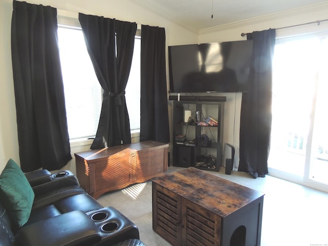 living room featuring ornamental molding