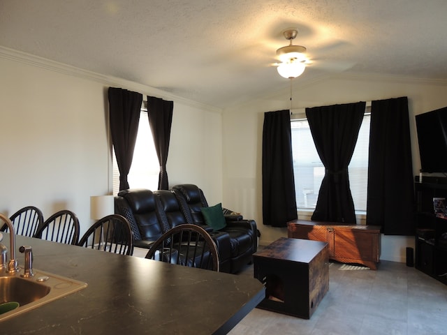 living room with ceiling fan, sink, vaulted ceiling, a textured ceiling, and ornamental molding