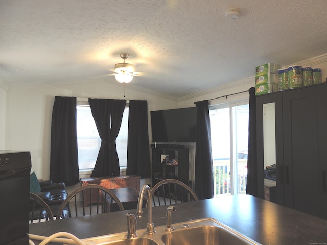 dining space featuring a textured ceiling, crown molding, sink, and vaulted ceiling