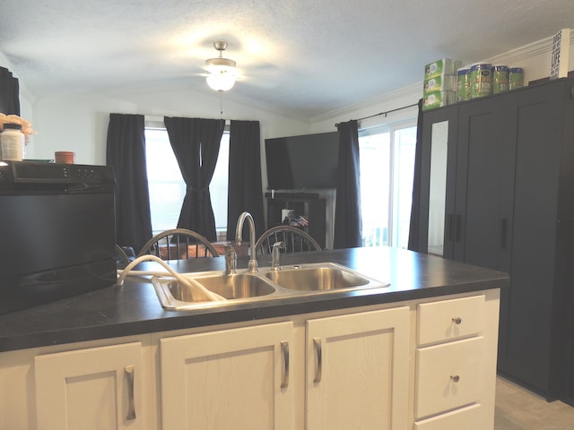 kitchen featuring a textured ceiling, crown molding, sink, and vaulted ceiling