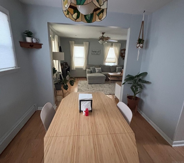 dining room with ceiling fan, wood-type flooring, and a baseboard radiator