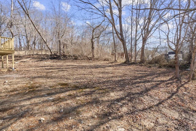 view of yard featuring a wooden deck