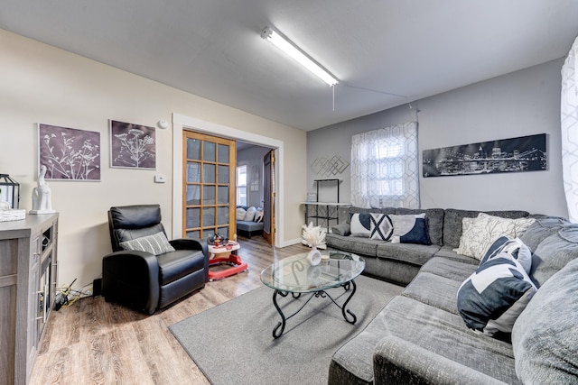 living room with hardwood / wood-style flooring