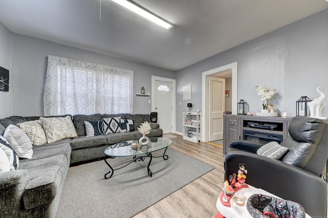 living room featuring hardwood / wood-style flooring