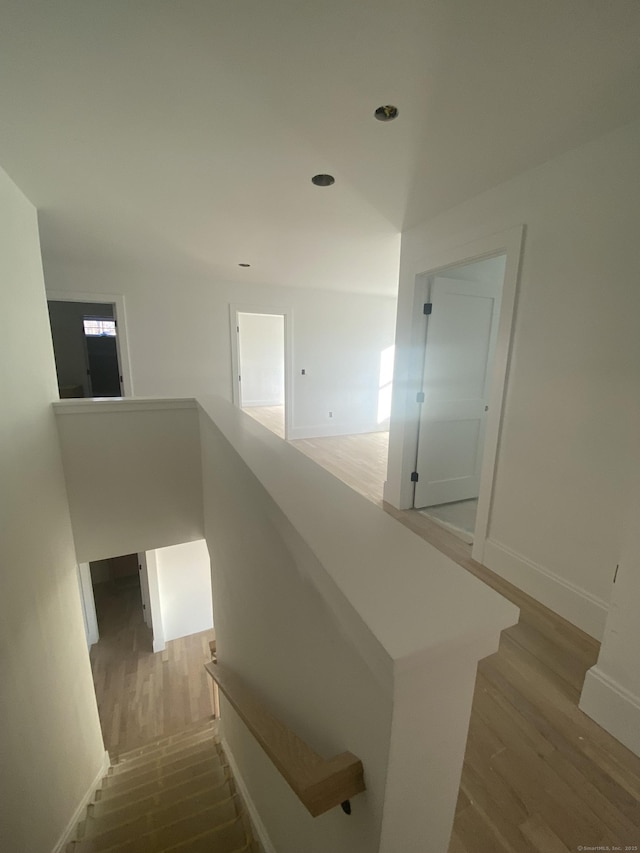 staircase with wood-type flooring