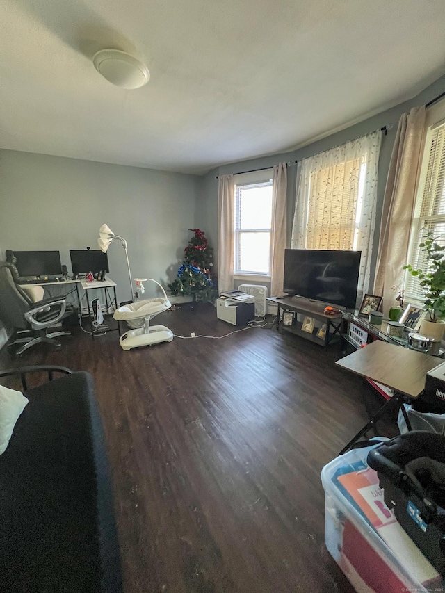 office area featuring dark hardwood / wood-style flooring