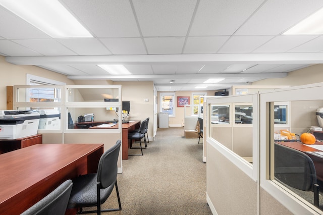 office space with a paneled ceiling and carpet floors