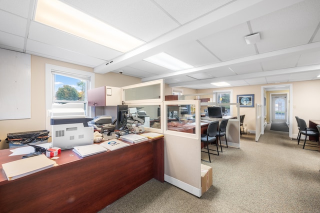 office featuring light carpet