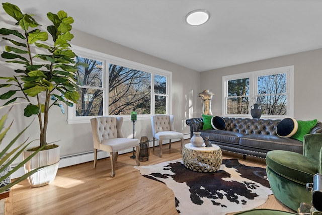 living room featuring light hardwood / wood-style flooring