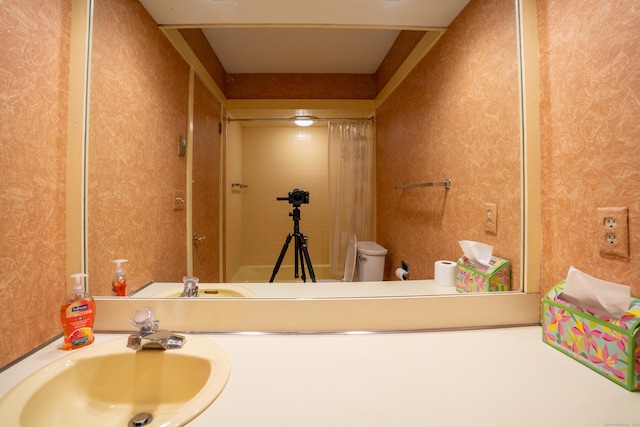 bathroom with sink and toilet