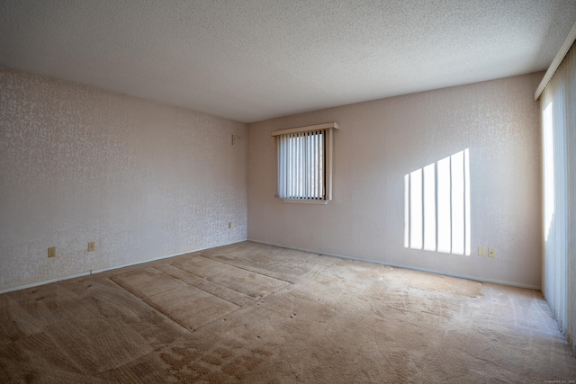 unfurnished room featuring a textured ceiling and light colored carpet