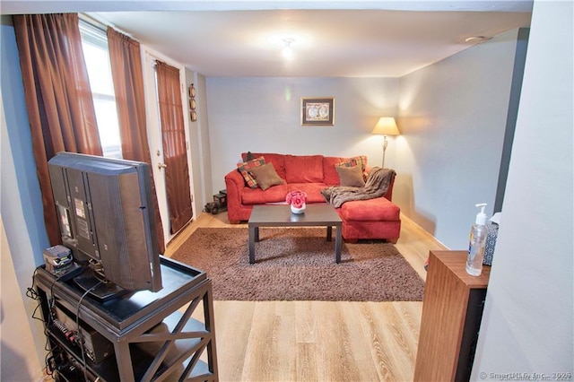 living room featuring light hardwood / wood-style floors