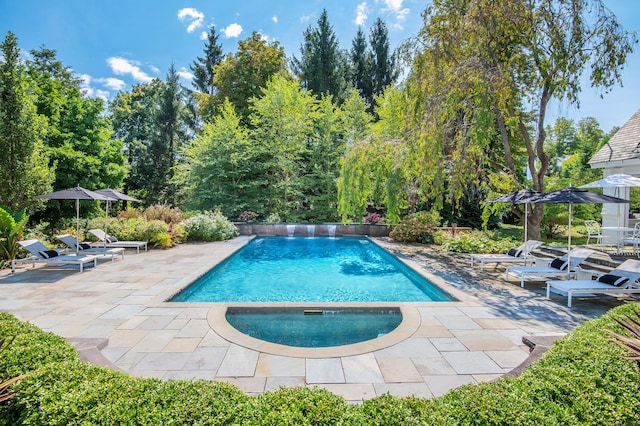 view of pool featuring a patio area