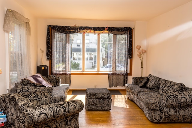 living room featuring light hardwood / wood-style flooring