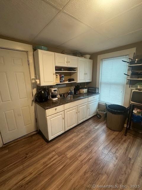 kitchen featuring white cabinets, dark wood-type flooring, and sink