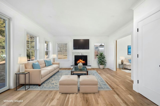 living room featuring ornamental molding, light hardwood / wood-style floors, and a premium fireplace