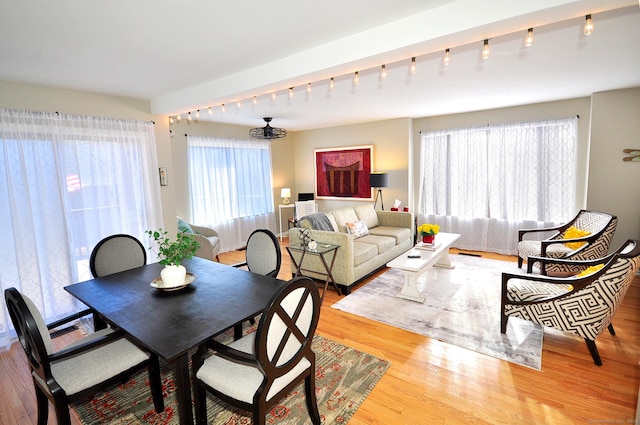 dining area with light hardwood / wood-style floors