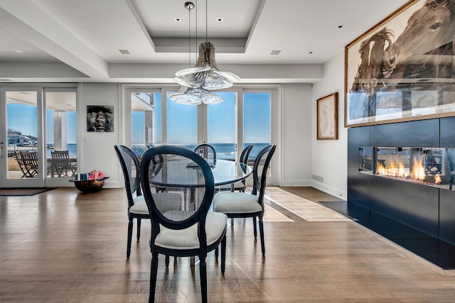 dining room featuring a raised ceiling, a healthy amount of sunlight, and dark hardwood / wood-style floors