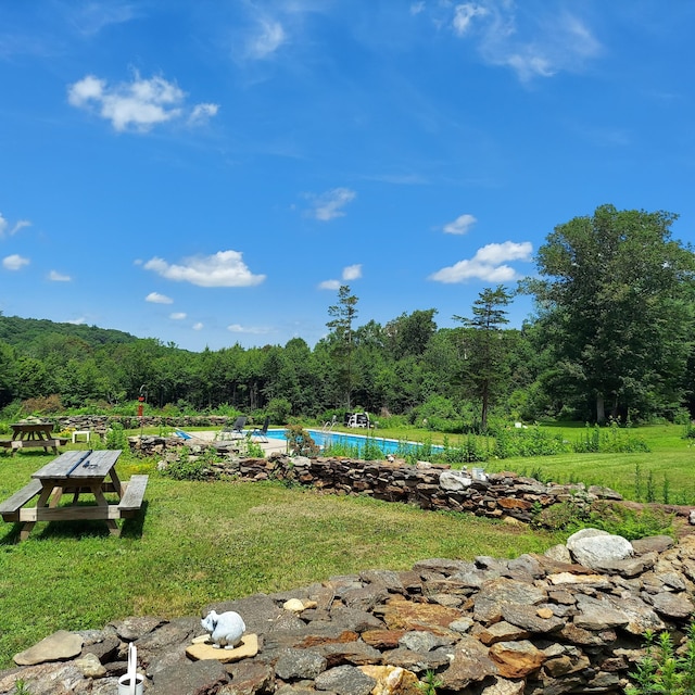 85 Salem Rd, East Haddam, CT 06415 - view of green lawn featuring a view of trees and an outdoor pool