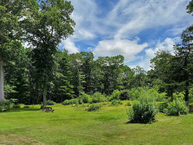 85 Salem Rd, East Haddam, CT 06415 - photo 11
