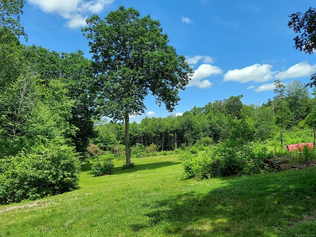 85 Salem Rd, East Haddam, CT 06415 - photo 12