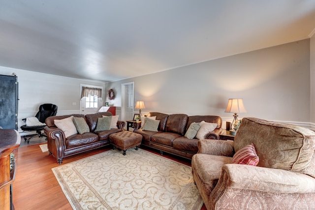 living room featuring light wood-type flooring