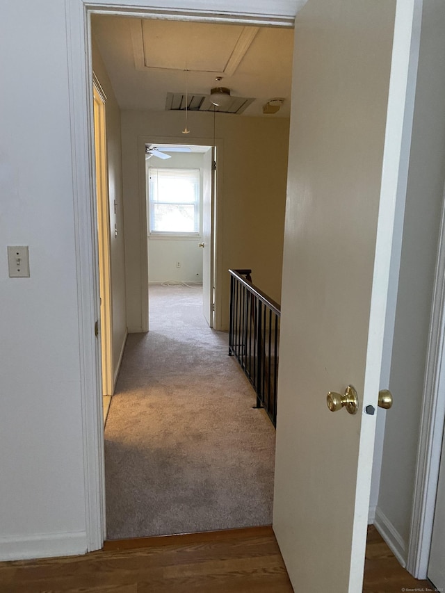 hallway featuring carpet flooring