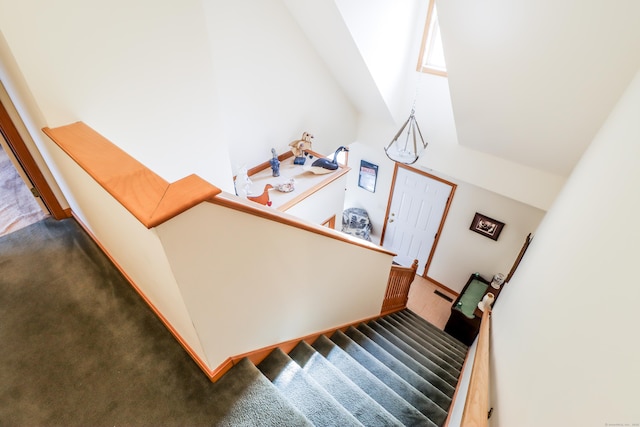 stairs featuring carpet flooring