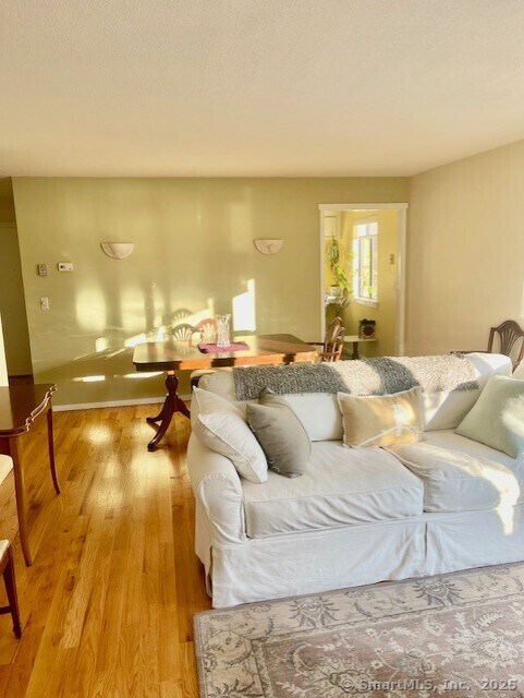 living room with light hardwood / wood-style flooring