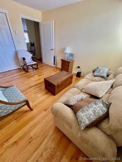 living area featuring wood finished floors