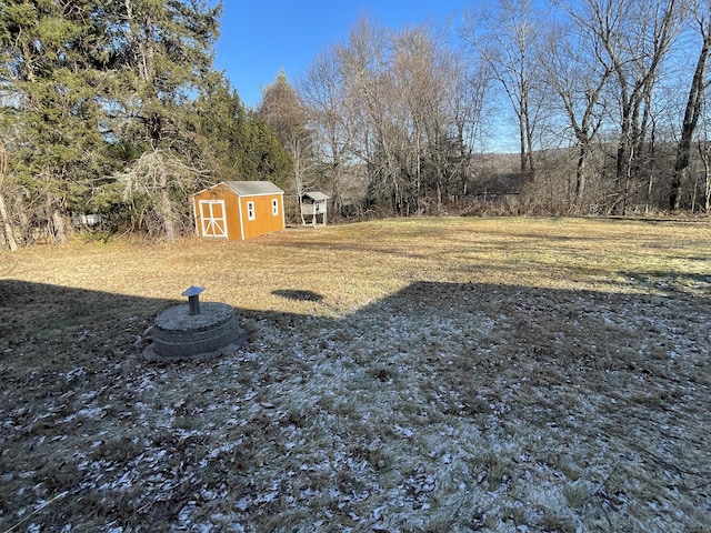 view of yard with a storage shed