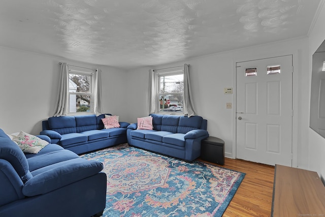 living room featuring a textured ceiling and hardwood / wood-style floors